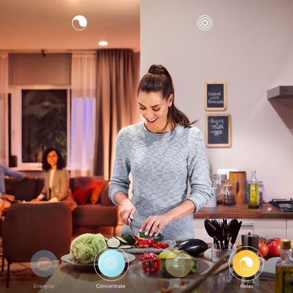 ΣΕΤ 2x Λαμπτήρες Dimmer LED Philips Hue WHITE E27/9W/230V 2700K