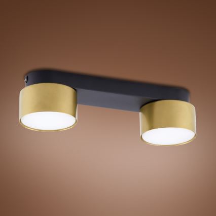 Σποτ SPACE GOLD 2xGX53/15W/230V
