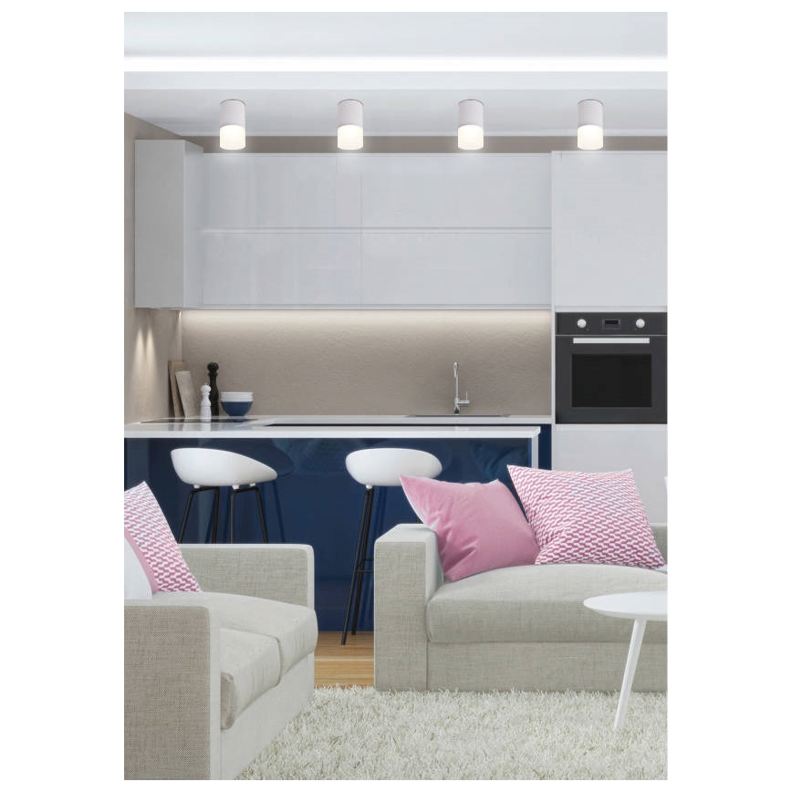 Σποτ TUBA 1xGU10/15W/230V γκρι/λευκό