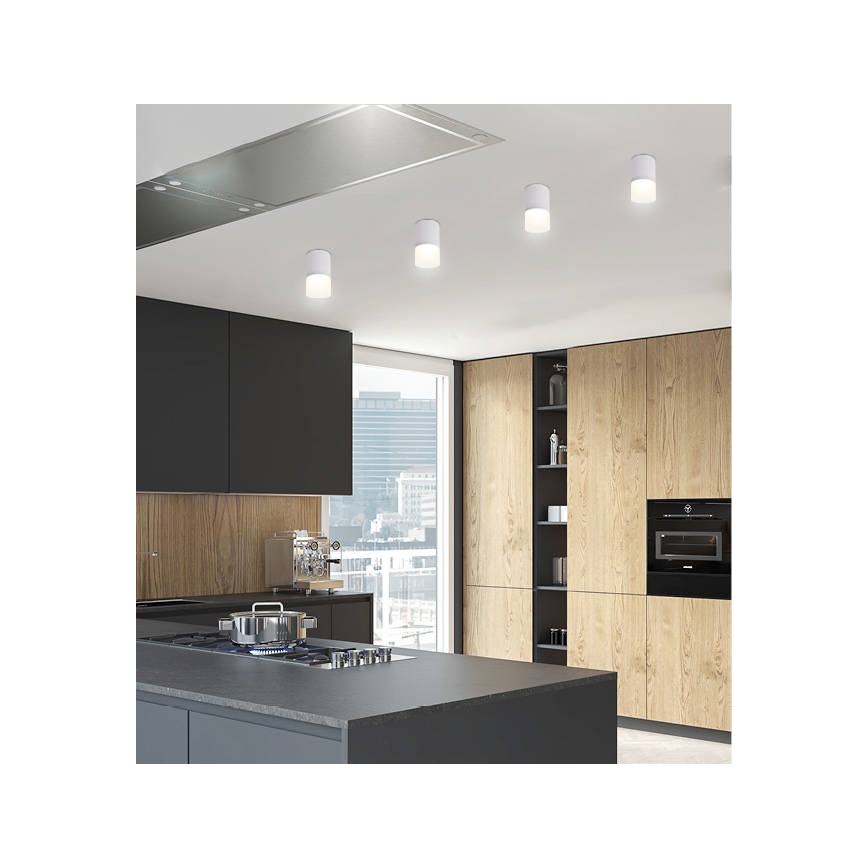 Σποτ TUBA 1xGU10/15W/230V γκρι/λευκό