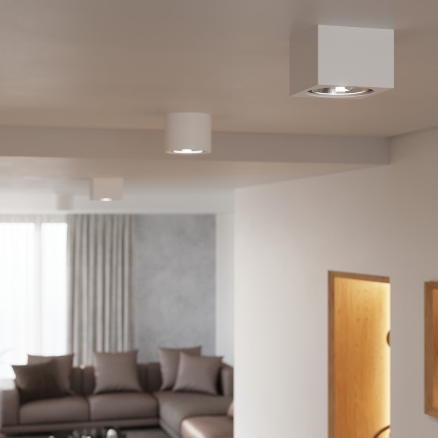 Σποτ οροφής KALU 1xGU10/40W/230V