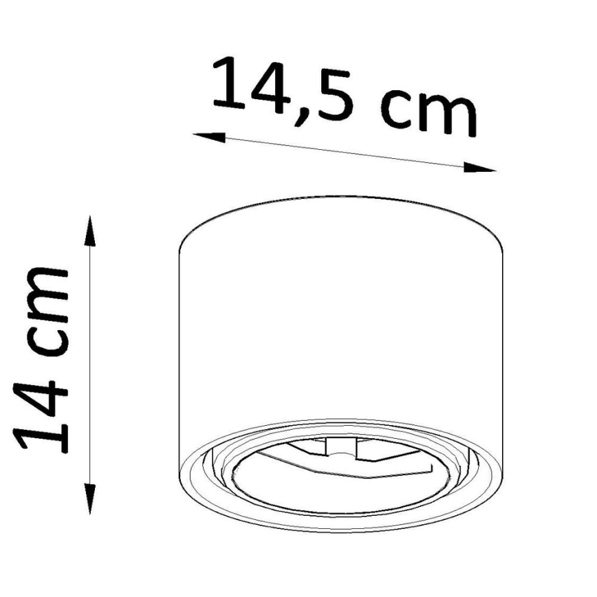 Σποτ οροφής KALU 1xGU10/40W/230V