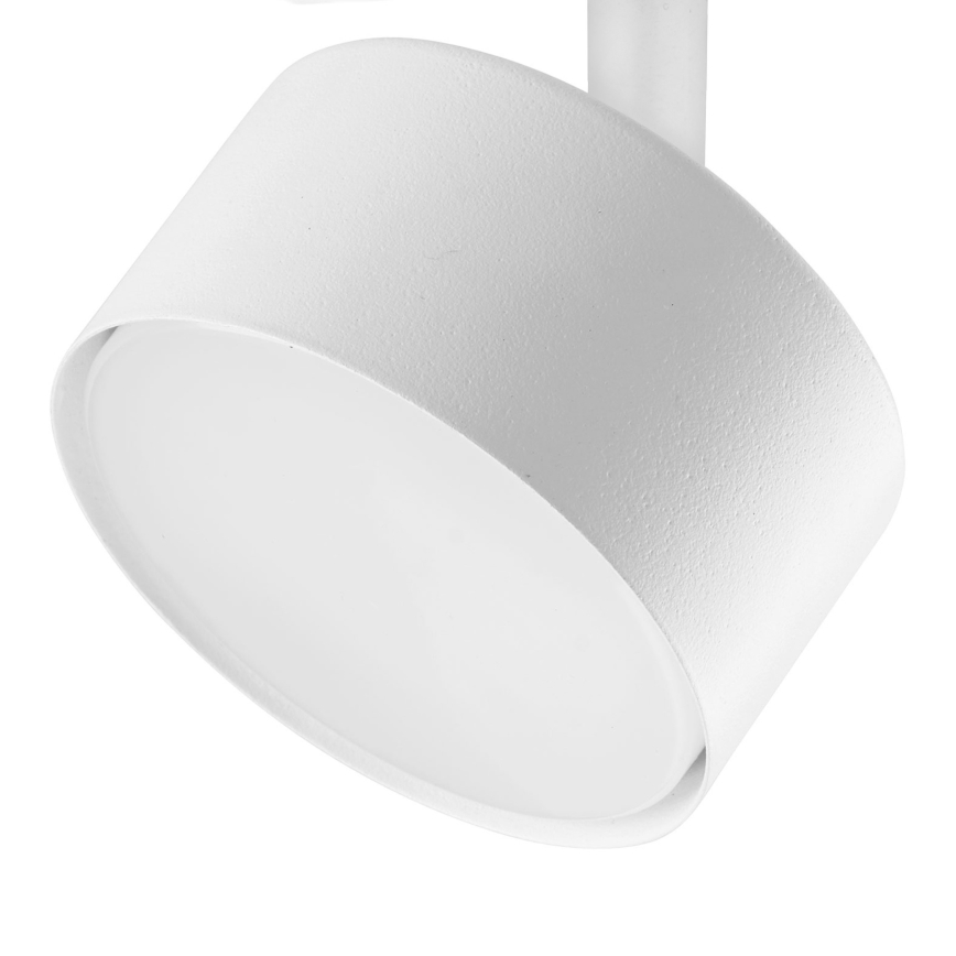 Φωτιστικό σποτ για 1-phase ράγας AVIA 1xGX53/15W/230V λευκό