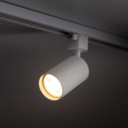 Φωτιστικό σποτ ράγας TRACER 1xGU10/10W/230V λευκό