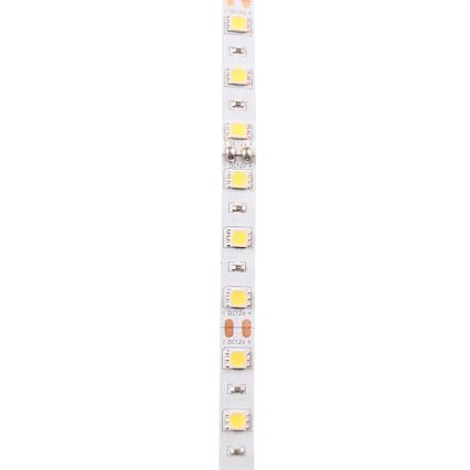Ταινία LED 5m LED/10W/12V IP20 λευκό