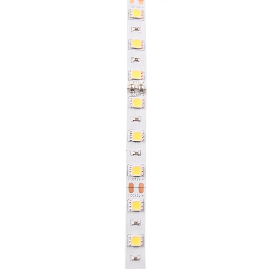 Ταινία LED 5m LED/10W/12V IP20 λευκό
