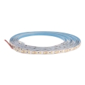 Ταινία LED DAISY 5m ψυχρό λευκό