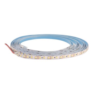Ταινία LED DAISY 5m ψυχρό λευκό