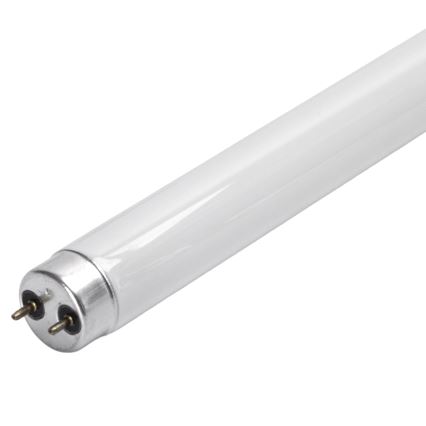 Φθορίζουσα λάμπα UV G13/10W/230V - Brilagi
