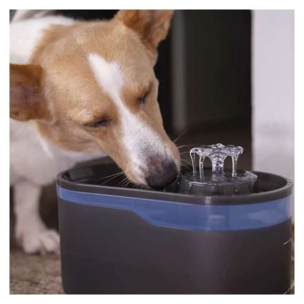 Φίλτρα για σιντριβάνι PET-902 4pcs