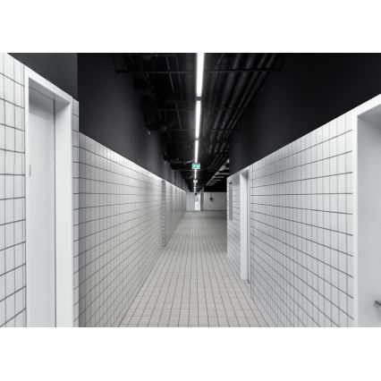 Φως εργασίας LED LIMEA MINI LED/36W/230V IP65 4000K 1200 mm