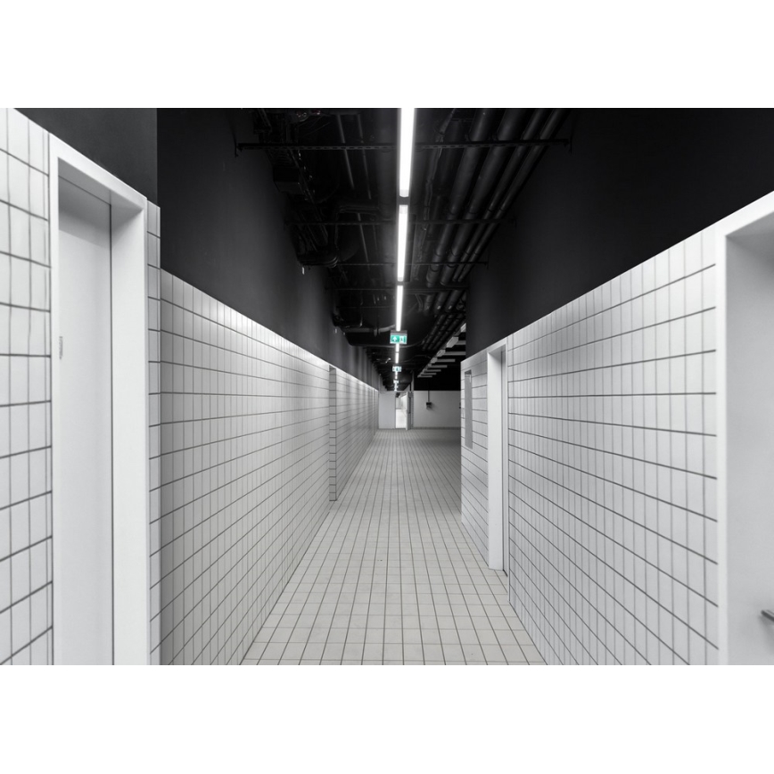 Φως εργασίας LED LIMEA MINI LED/36W/230V IP65 4000K 1200 mm