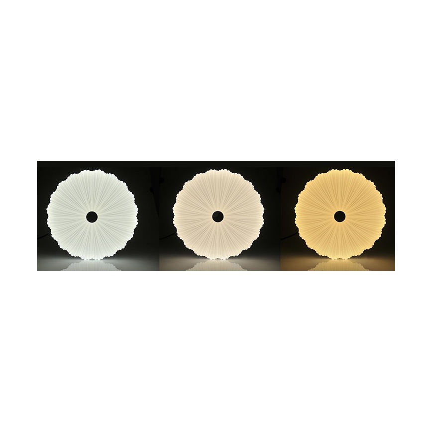 Φως οροφής dimmer LED FLOWER LED/36W/230V + RC