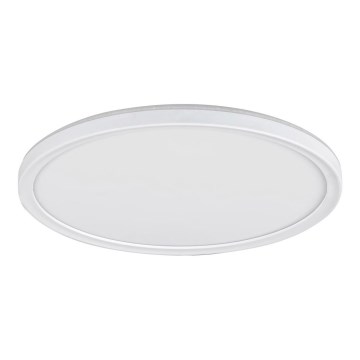 Φως οροφής dimmer LED PAVEL LED/22W/230V