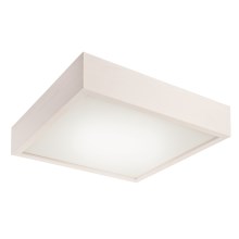 Φως οροφής LED 1xLED/24W/230V