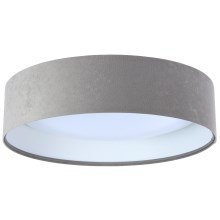 Φως οροφής LED GALAXY 1xLED/24W/230V γκρι/λευκό