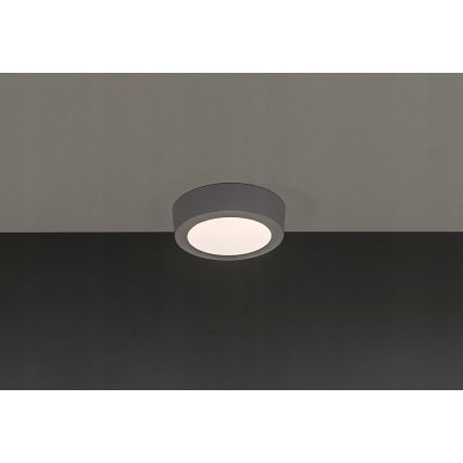 Φως οροφής LED GERRIT LED/6W/230V 3000K