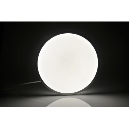 Φως οροφής LED KERN LED/24W/230V νικέλιο