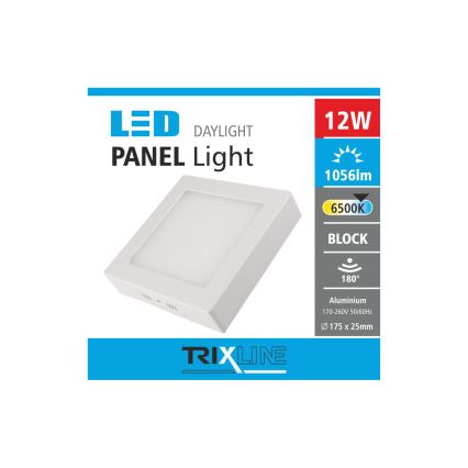 Φως οροφής LED LED/12W/230V 6500K