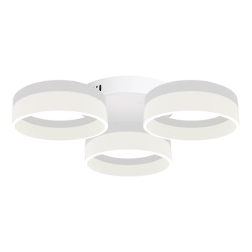 Φως οροφής LED RING 3xLED/12W/230V λευκό