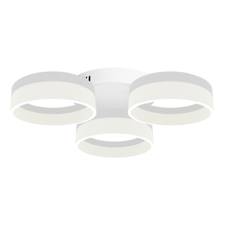 Φως οροφής LED RING 3xLED/12W/230V λευκό