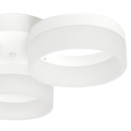 Φως οροφής LED RING 3xLED/12W/230V λευκό