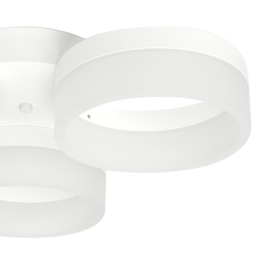 Φως οροφής LED RING 3xLED/12W/230V λευκό