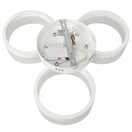 Φως οροφής LED RING 3xLED/12W/230V λευκό