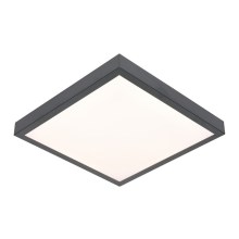 Φως οροφής LED VITALI LED/24W/230V