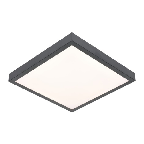 Φως οροφής LED VITALI LED/24W/230V