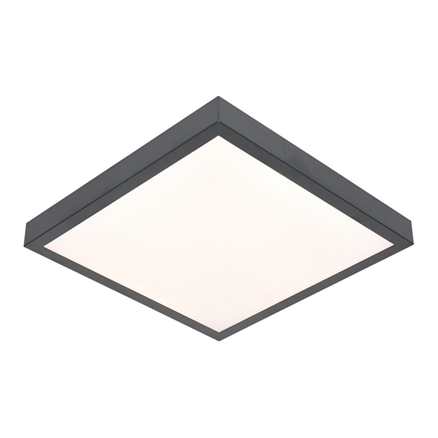 Φως οροφής LED VITALI LED/24W/230V