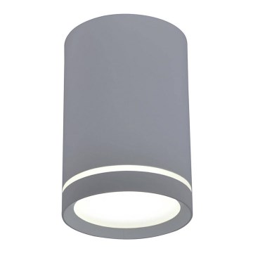 Φως οροφής TUBA GU10/15W/230V