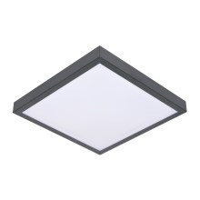 Φως οροφής VITAL 2xE27/60W/230V ανθρακίτης