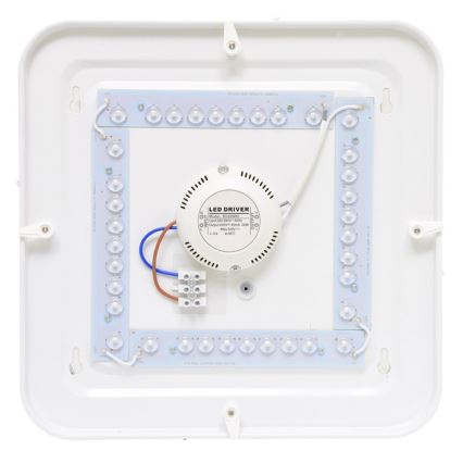 Φως οροφής εξωτερικού χώρου LED LUKA LED/42W/230V IP44