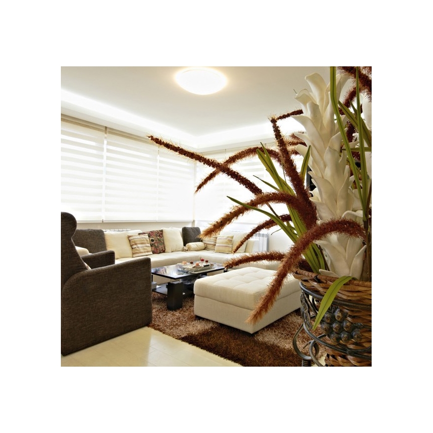 Φως οροφής εξωτερικού χώρου LED NELA LED/20W/230V IP44