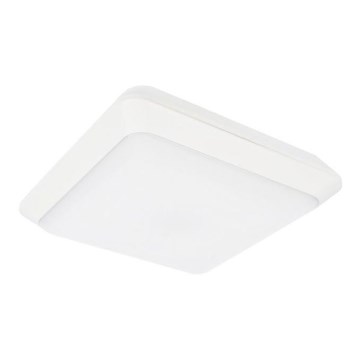 Φως οροφής εξωτερικού χώρου LED TIPO LED/24W/230V IP66