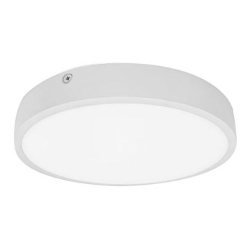 Φως οροφής μπάνιου LED EGON LED/16W/230V IP44 4000K