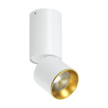 Φως σποτ οροφής LED LED/10W/230V