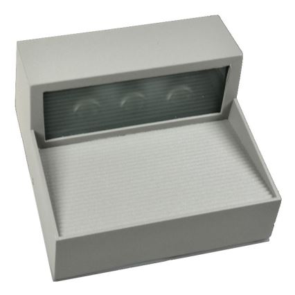 Φως τοίχου εξωτερικού χώρου LED CARRI LED/3W/230V IP54