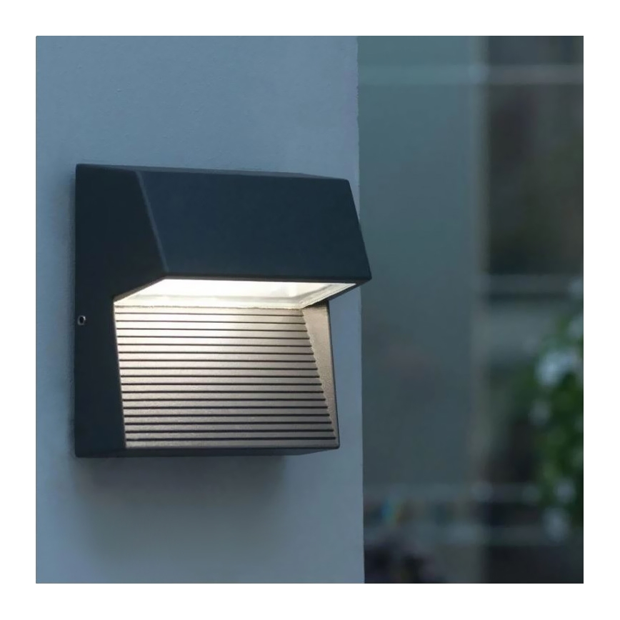 Φως τοίχου εξωτερικού χώρου LED CARRI LED/3W/230V IP54