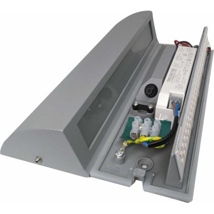 Φως τοίχου εξωτερικού χώρου LED LED/10W/230V IP54