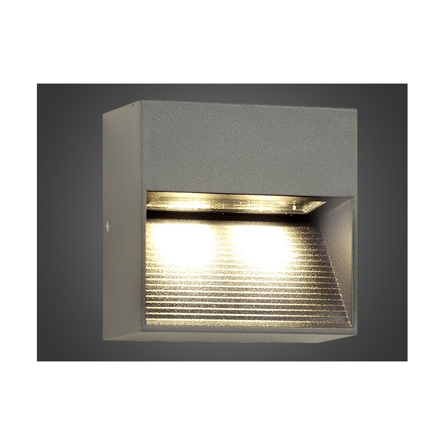 Φως τοίχου εξωτερικού χώρου LED NINION LED/2W/230V IP54