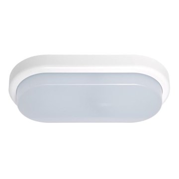 Φως τοίχου εξωτερικού χώρου LED OVAL LED/18W/230V IP54