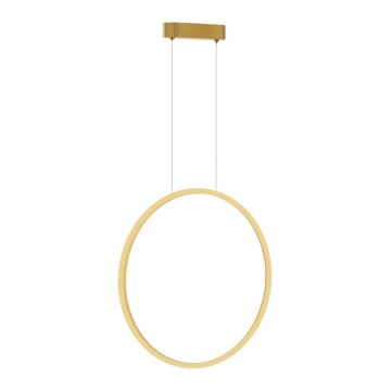 Φωτιστικό LED με καλώδιο SATURNO LED/28W/230V διάμ. 50 εκ. IP44 χρυσό