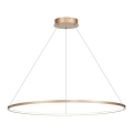 Φωτιστικό LED με καλώδιο SATURNO LED/57W/230V διάμ. 100 εκ. IP44 χρυσό
