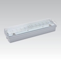 Φωτιστικό ασφαλείας LED CARLA LED/5,51W/230V IP65