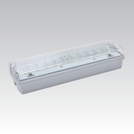 Φωτιστικό ασφαλείας LED CARLA LED/5,51W/230V temporary 1h IP65