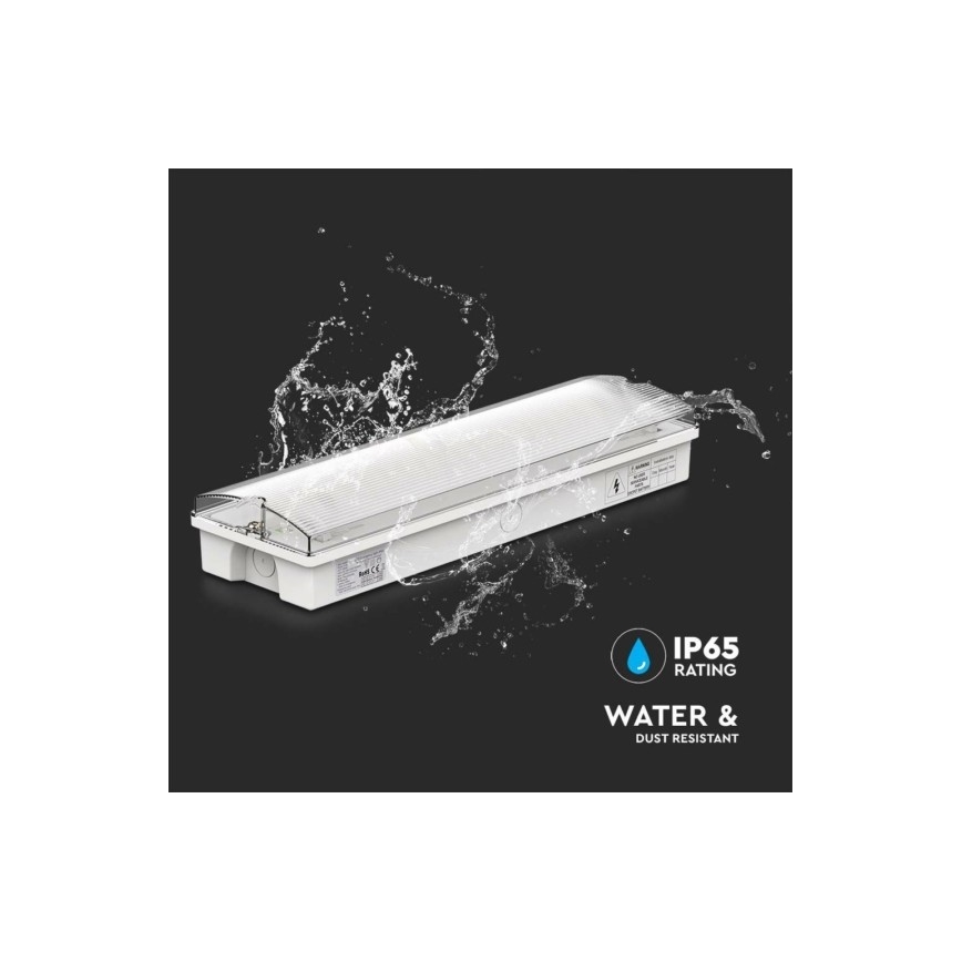 Φωτιστικό ασφαλείας LED EMERGENCY EXIT LED/3W/230V 6400K IP65