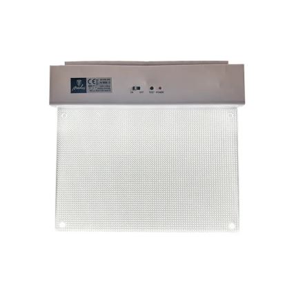 Φωτιστικό ασφαλείας LED LED/2W/230V 6000K 300 mAh