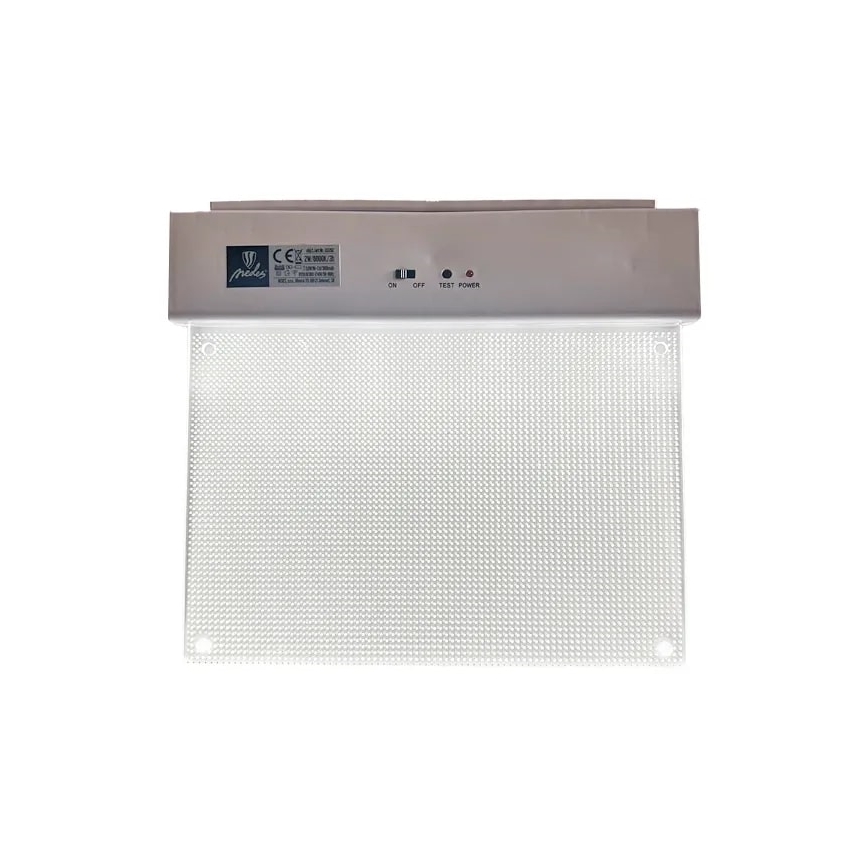 Φωτιστικό ασφαλείας LED LED/2W/230V 6000K 300 mAh